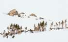 Alpine winter landscape Art Print